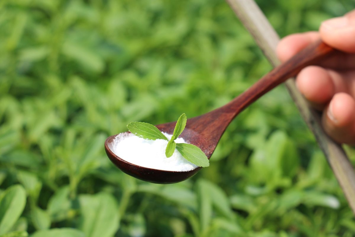 木勺中的白色甜菊糖苷粉末与鲜叶
